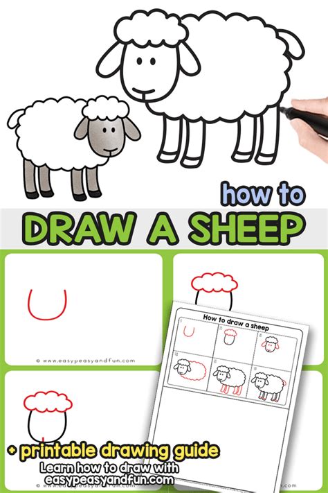Sheep Drawing Tutorial