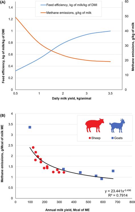 Sheep Feed Efficiency