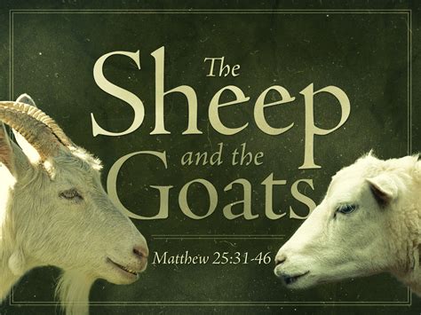 sheep goats bible