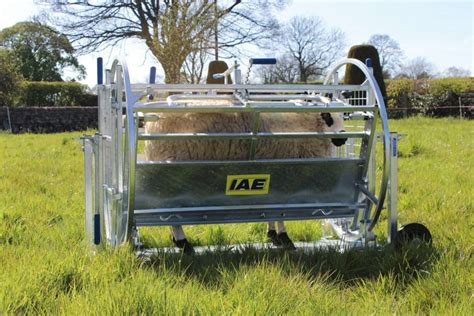 sheep turnover crate for sale scotland
