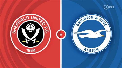 sheffield united vs brighton predictions