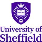 sheffield virtual open day