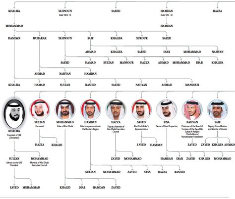 sheikh mohammed bin zayed family tree