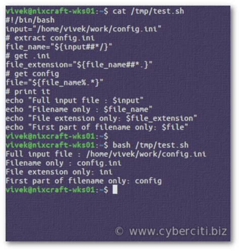 Shell Cut Filename From Path