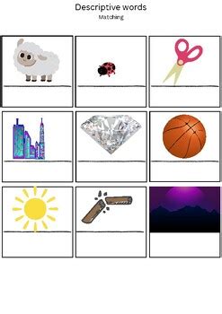 Shell Descriptive Words