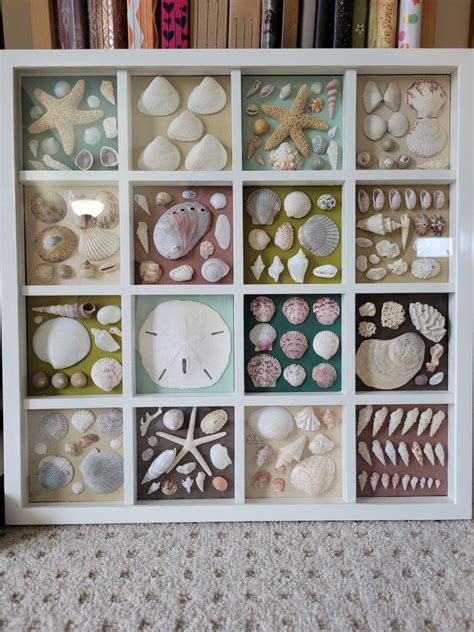 shell display ideas