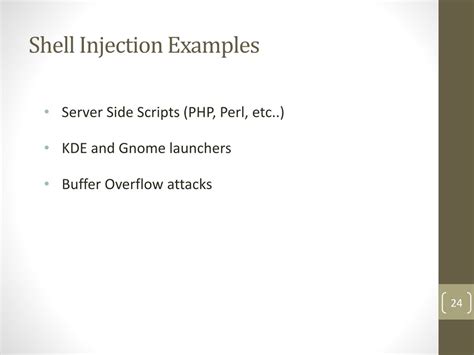 Shell Injection Examples