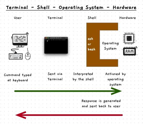 Shell Terminal Examples
