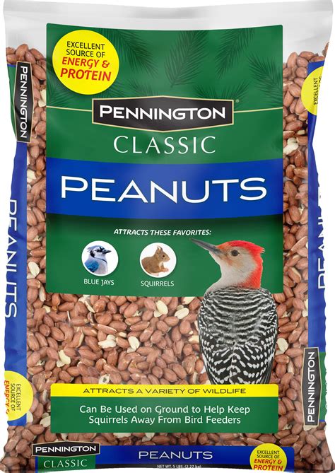 Shelled Peanuts For Dogs