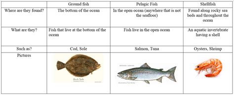 Shellfish And Fish Differences