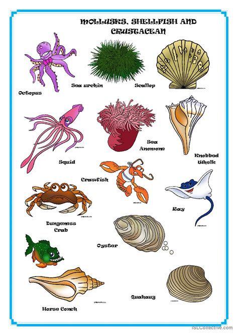 Shellfish Crustaceans And Molluscs