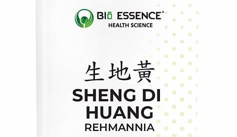 SHENG DI HUANG - Raw Rehmannia Root - Radix Rehmanniae Herb