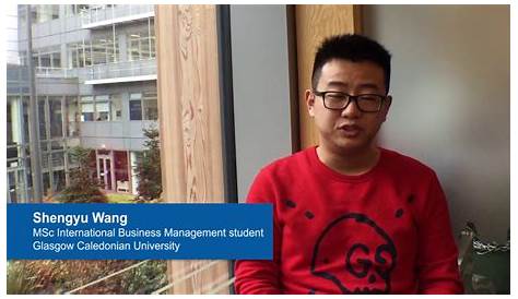 Shengyu Wang - Sales Service Representative - Montblanc | LinkedIn