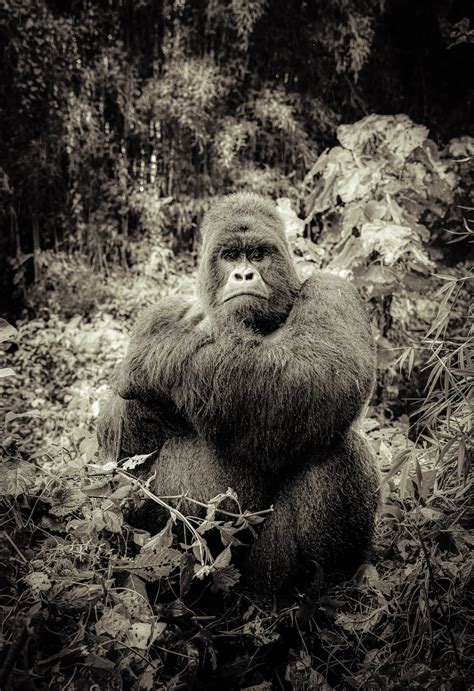 Sheridan Wright Photography