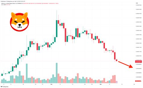 shib coin price prediction