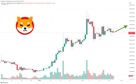 shib coin price prediction 2024