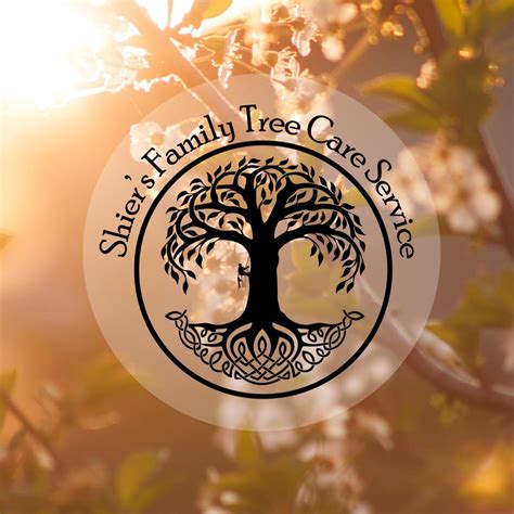 shiers family tree care service llc