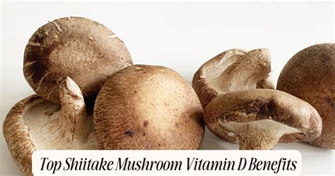 Shiitake Vitamin D