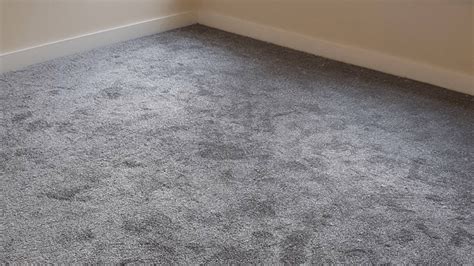 shimmer saxony carpet