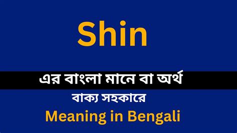 shin meaning in bengali