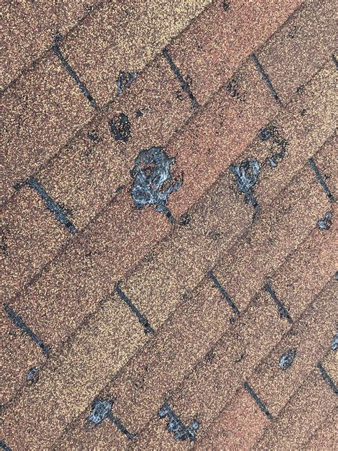 Shingle Damage From Hail