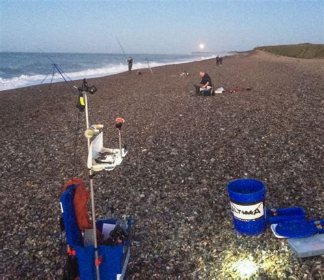 Shingle Planet Reviews