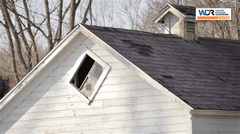shingle roof damage inspection Austin