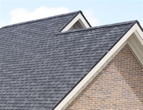 Shingle Roof Top