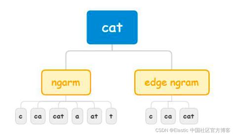 Shingles Elasticsearch