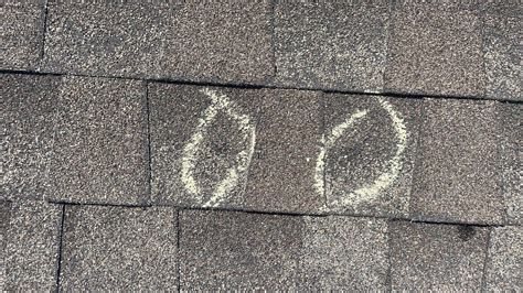 Shingles showing hail damage