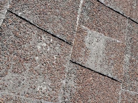 shingles with missing granules