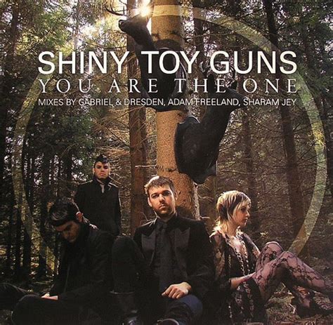 shiny toy guns you are the one lyrics