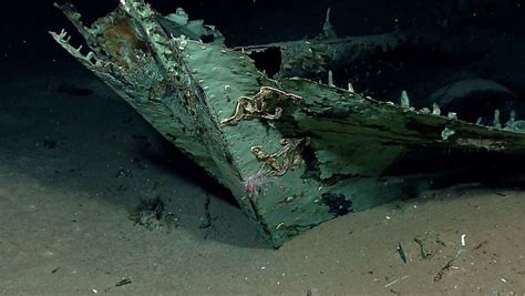 shipwreck found in la