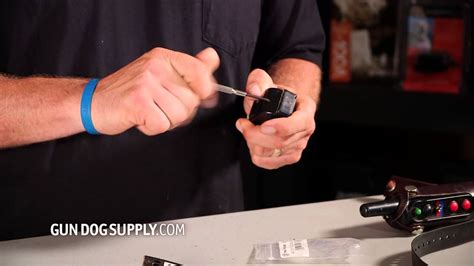 Shock Collar Battery Replacement
