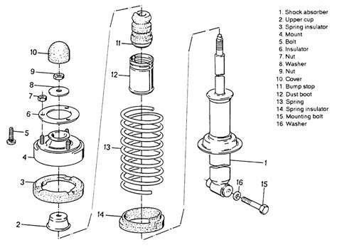 Shock Strut Assembly Rear