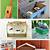 shoe box creative craft projects