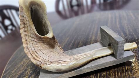 Shofar Secunda