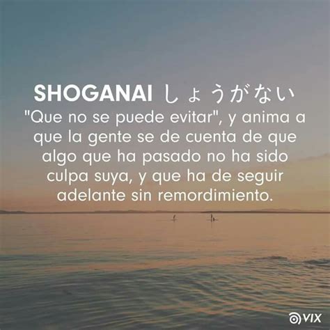 shoganai