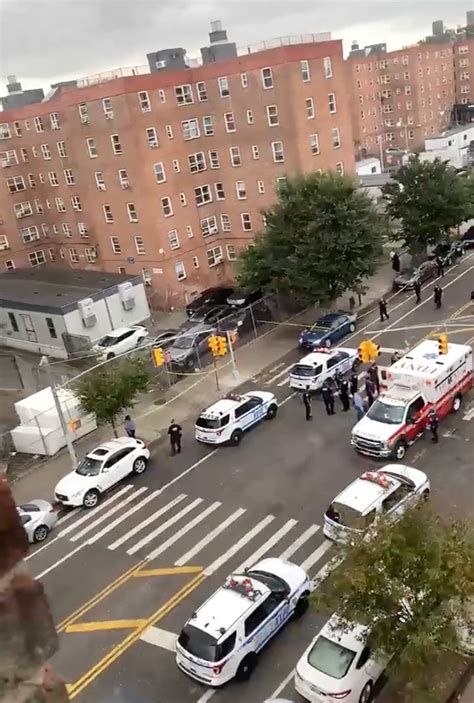 Uncover the Truth Behind Shooting Brooklyn: A Riveting Insider's Take