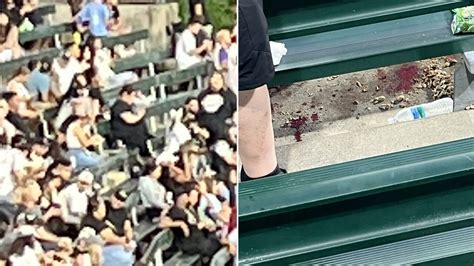 shooting incident at white sox game