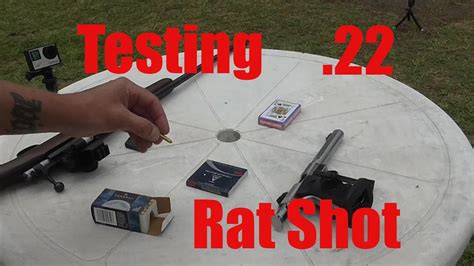 Shooting Rats With 22 Rifle