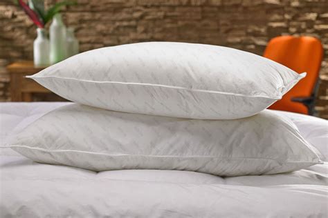 Shop Marriott Pillows