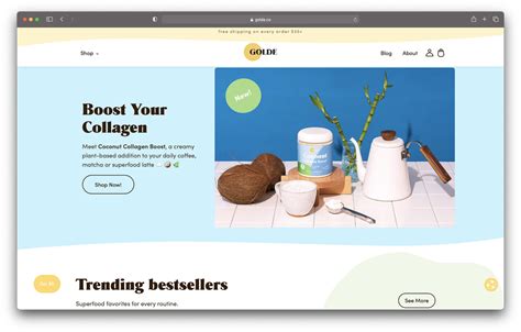 shopify website examples