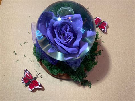 Shoprite Rose In Globe