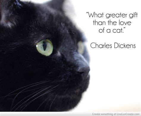 short black cat quotes for instagram