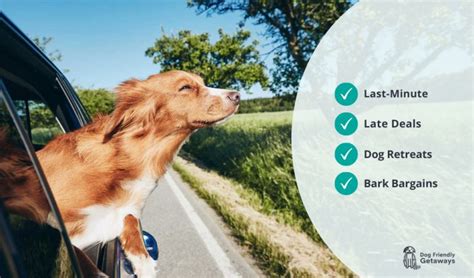 short breaks in the uk with dogs