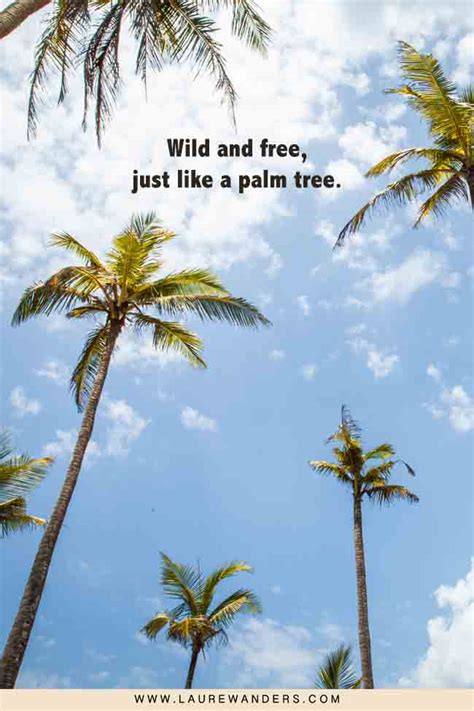 short captions for tree and sky