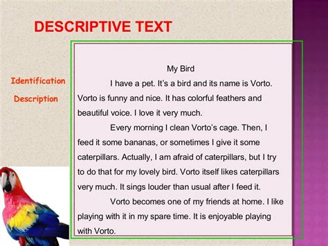 short descriptive text examples for students