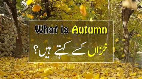 Short Fall Meaning In Urdu