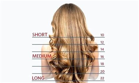  79 Popular Short Medium Or Long Hair For Short Hair